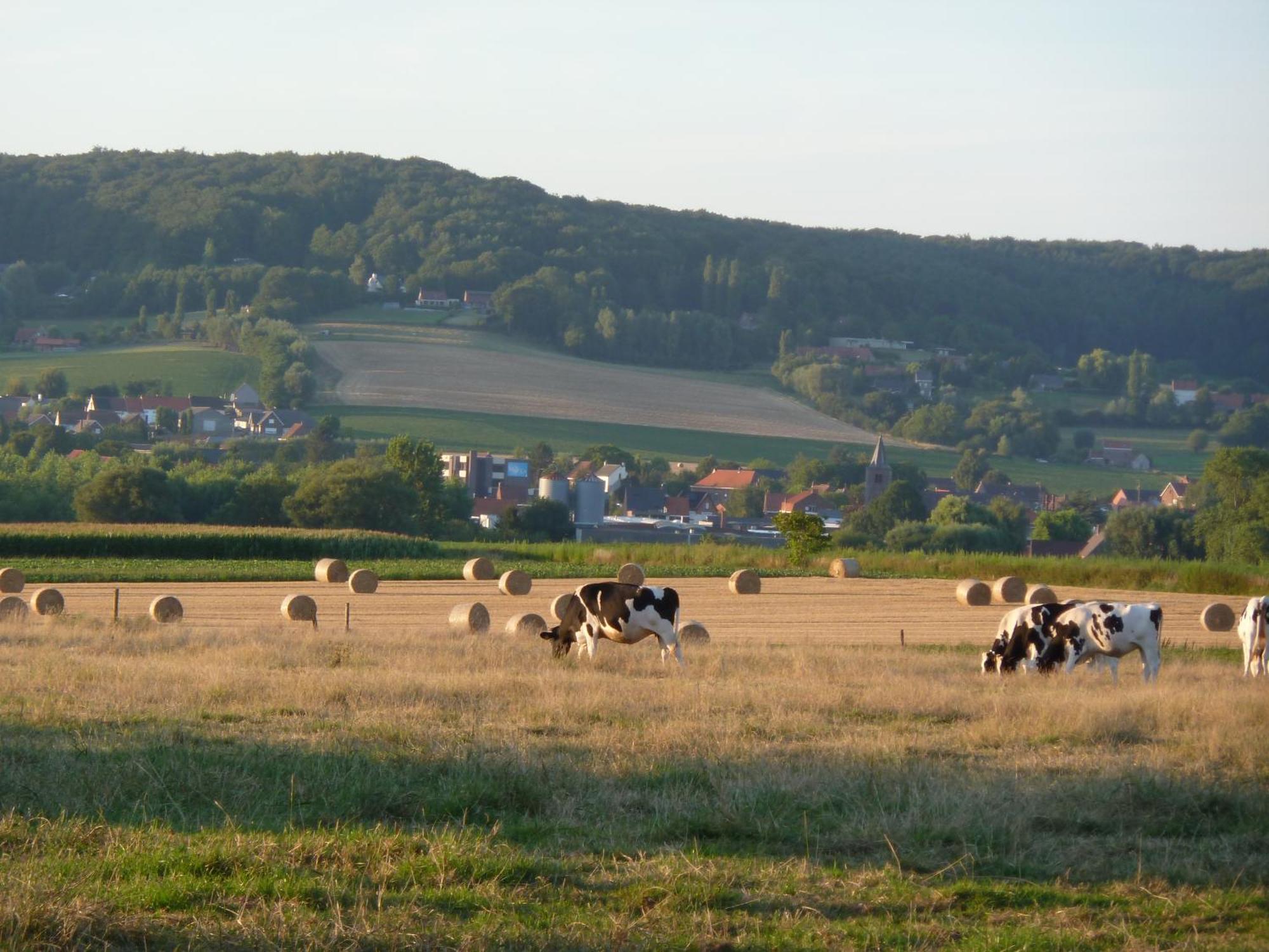 Entre Monts Et Collines B&B Et Spa En Option Exterior photo